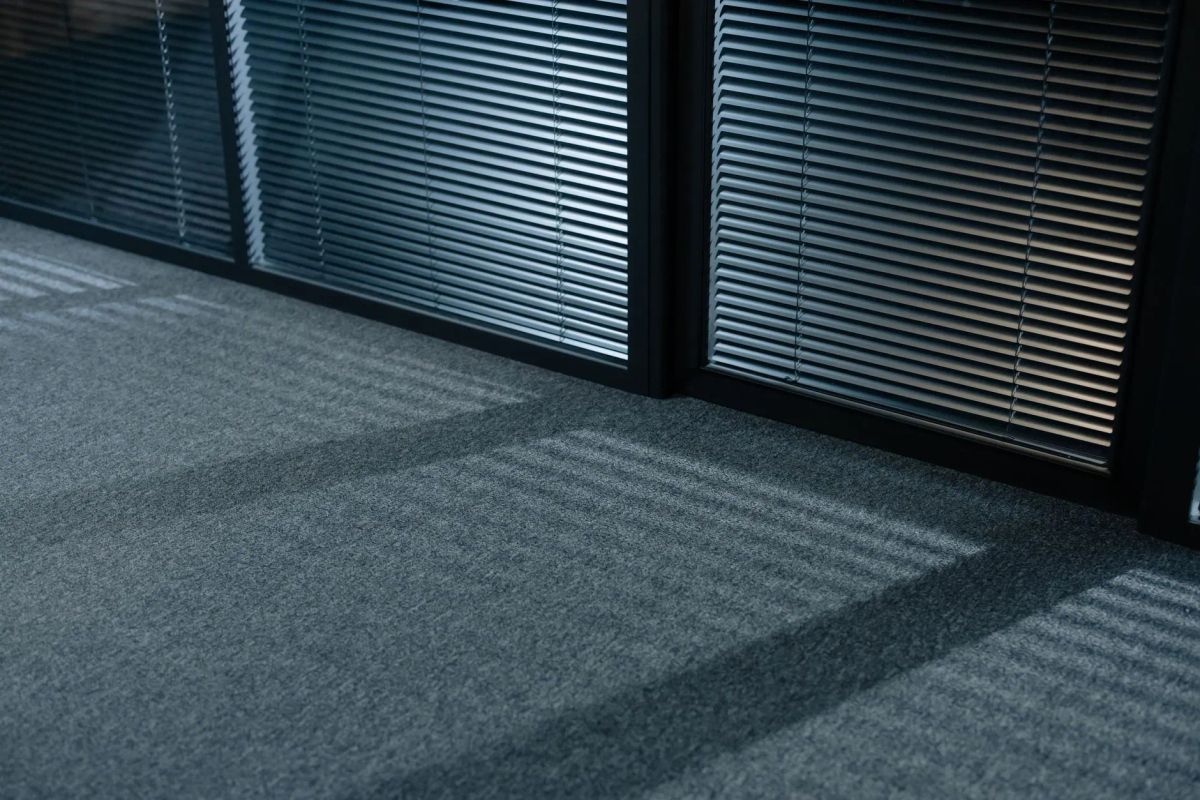 Professional carpet cleaning in a bright Nambour home