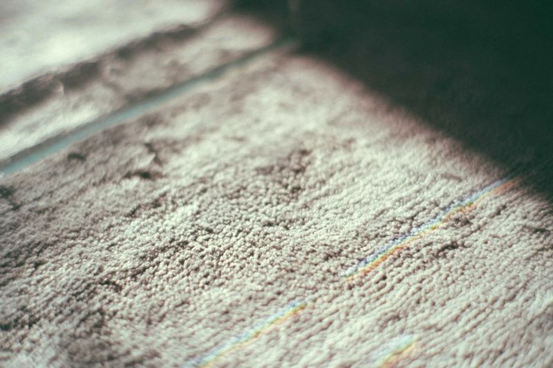 Pristine end-of-lease carpet cleaning for bond inspection