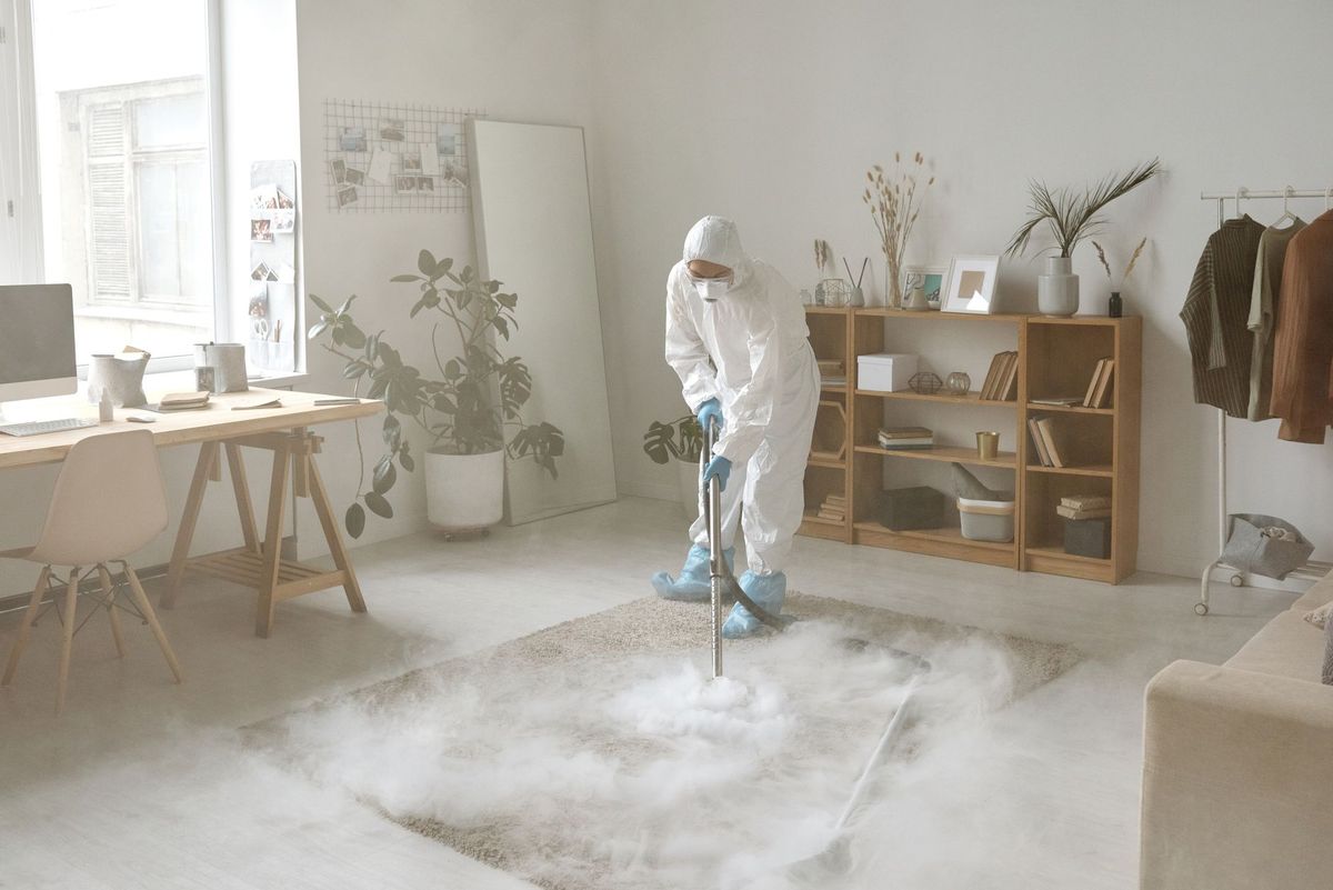 Professional carpet cleaner refreshing carpet in a bright commercial office in Banya, QLD