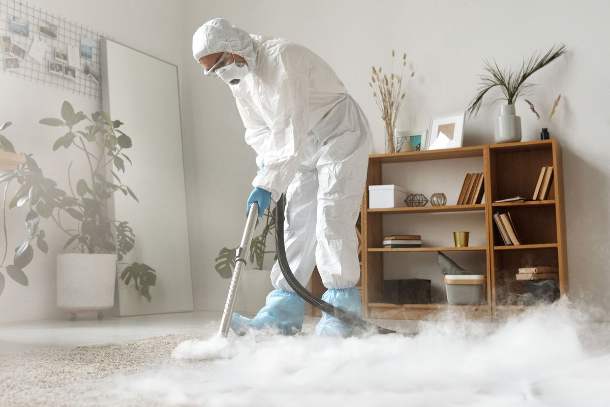 Clean carpets in a modern Nirimba home