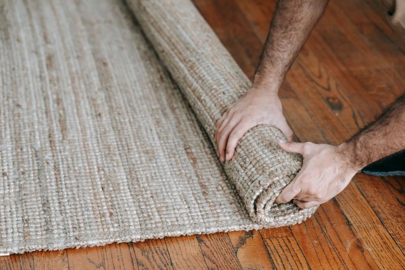 Professional carpet steam cleaning in a bright Banya home