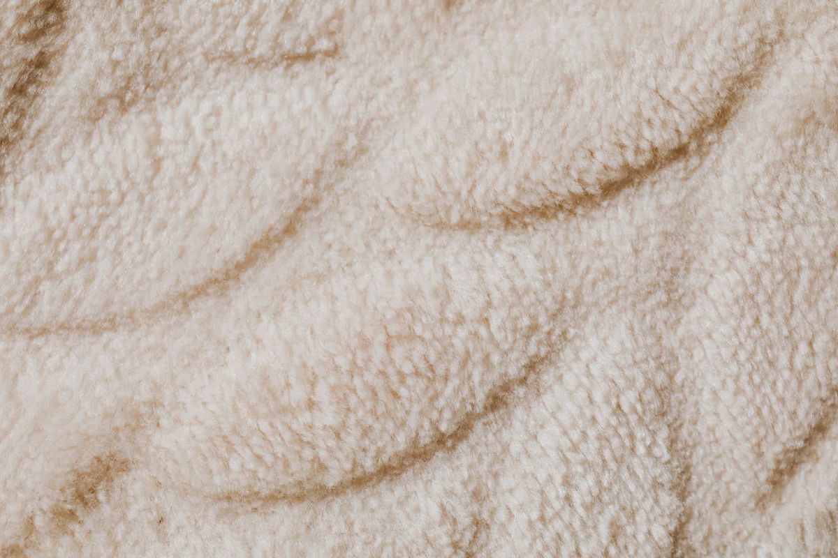 Clean carpets in a home in Meridian Plains