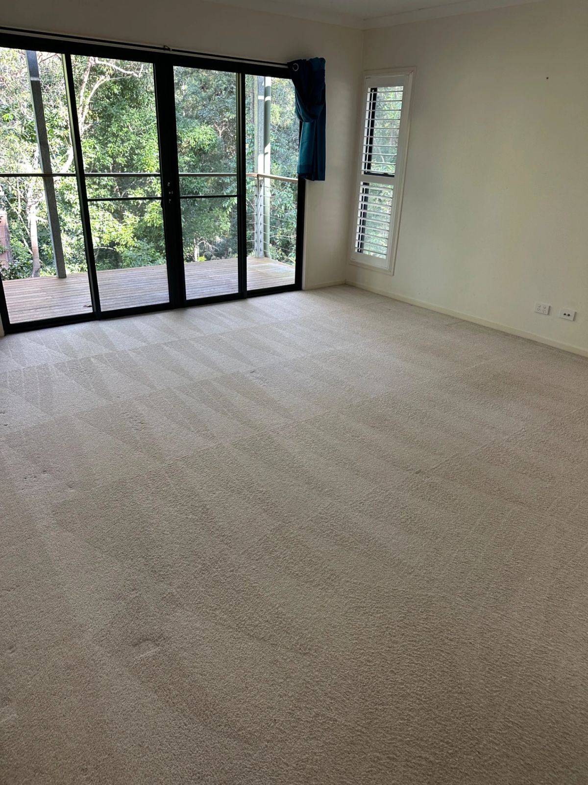 Spacious carpeted room with large windows overlooking greenery, showcasing clean and well-maintained flooring
