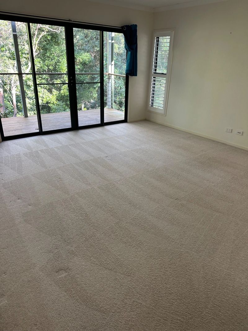 Spacious carpeted room with large windows overlooking greenery, showcasing clean and well-maintained flooring