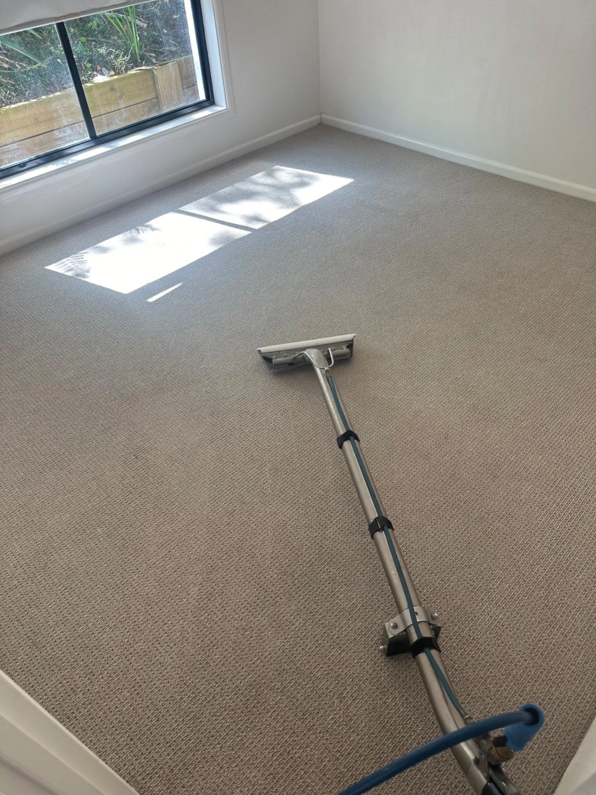IMG 1928