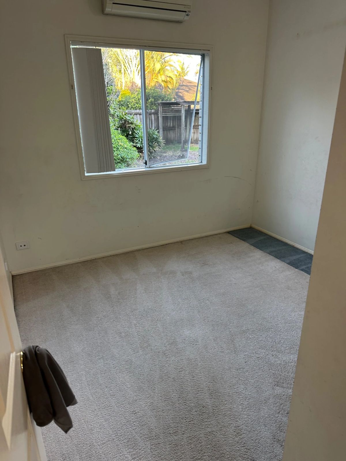 Clean carpet in a well-lit room with a window, showcasing an inviting space.