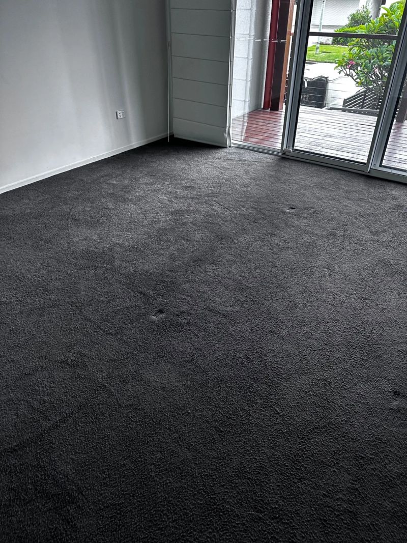 Freshly cleaned dark gray carpet in a room with natural light and patio access