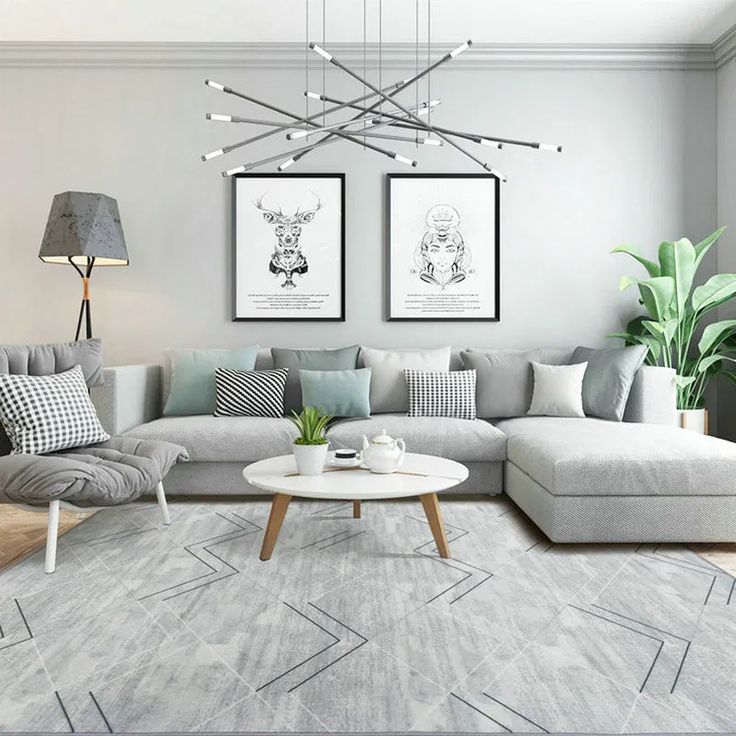 Carpet Cleaning Sunshine Coast Cheap Carpet Cleaning